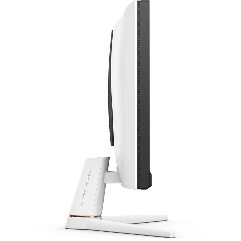 BenQ EX251 25” 220Hz 1080p FHD AI Powered PixSoul Gaming Monitor with Built - in Speaker - SWIFT PERIPHERALSEX251