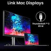 BenQ PD3225U 32" 4K UHD IPS Black Professional Monitor with Thunderbolt 3 - SWIFT PERIPHERALSPD3225U