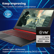 EVM 256GB 2.5 - inch SATA 3D NAND Internal SSD - SWIFT PERIPHERALSEVM25-256GB