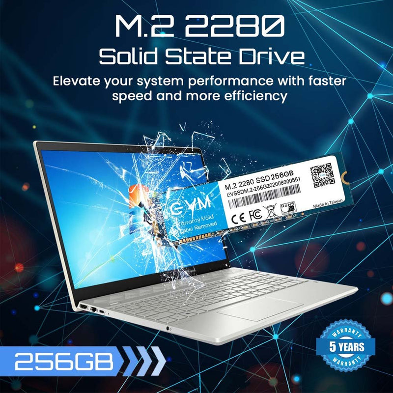 EVM 256GB M.2 SATA 3D NAND Internal SSD - SWIFT PERIPHERALSEVMM2-256GB
