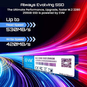 EVM 256GB M.2 SATA 3D NAND Internal SSD - SWIFT PERIPHERALSEVMM2-256GB