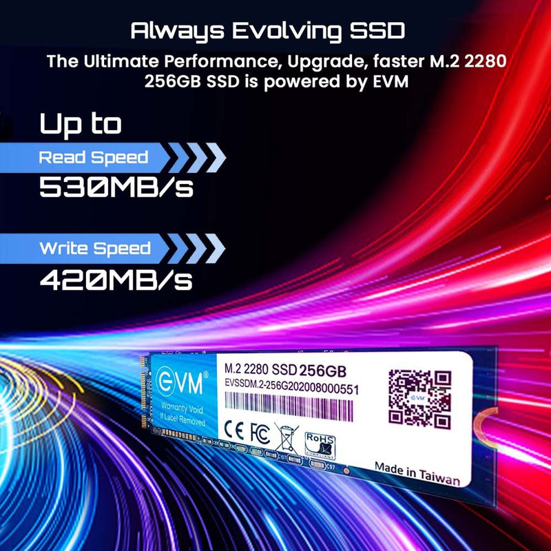 EVM 256GB M.2 SATA 3D NAND Internal SSD - SWIFT PERIPHERALSEVMM2-256GB