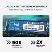 EVM 256GB NVME M.2 SSD EVMNV/256GB - SWIFT PERIPHERALS104610