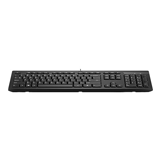 HP 125 Wired USB Desktop Keyboard - SWIFT PERIPHERALS266C9AA
