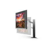 LG 32UN880K - B 31.5" UHD 4K Ergo IPS Monitor with USB - C HDR10 - SWIFT PERIPHERALS32UN880K-B