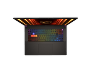 MSI Vector 17, Intel Series 2 Core Ultra 9 275HX, 43cm QHD+ 240Hz Gaming Laptop (32GB/2TB NVMe SSD/Windows 11 Home/NVIDIA GeForce RTX 5070 Ti, GDDR7 12GB/Cosmos Gray/3Kg) A2XWHG - 206IN - SWIFT PERIPHERALSMSI50-001