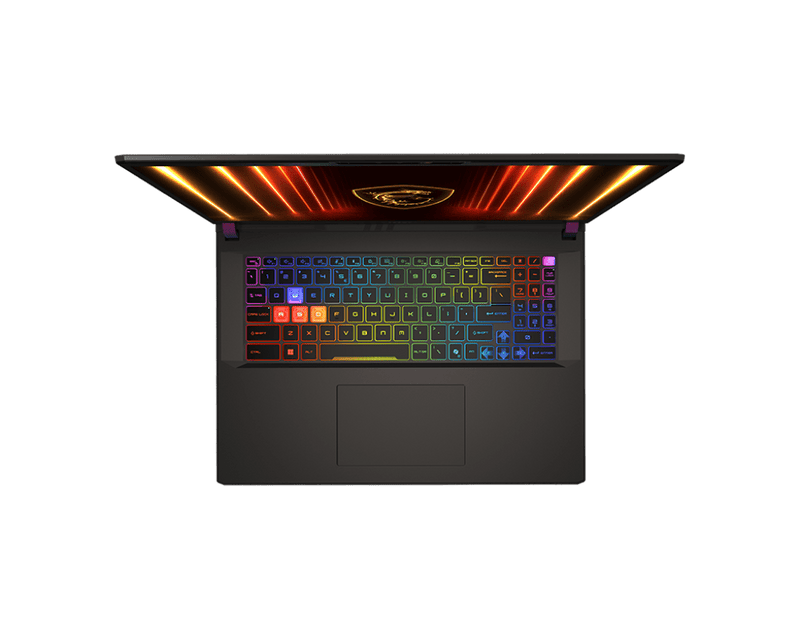 MSI Vector 17, Intel Series 2 Core Ultra 9 275HX, 43cm QHD+ 240Hz Gaming Laptop (32GB/2TB NVMe SSD/Windows 11 Home/NVIDIA GeForce RTX 5070 Ti, GDDR7 12GB/Cosmos Gray/3Kg) A2XWHG - 206IN - SWIFT PERIPHERALSMSI50-001