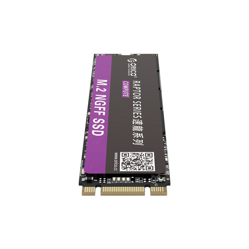 Orico N310 Raptor Series 240GB M.2 NGFF 2280 Internal Solid State Drive - SWIFT PERIPHERALSORICO-N310-240GB-EP