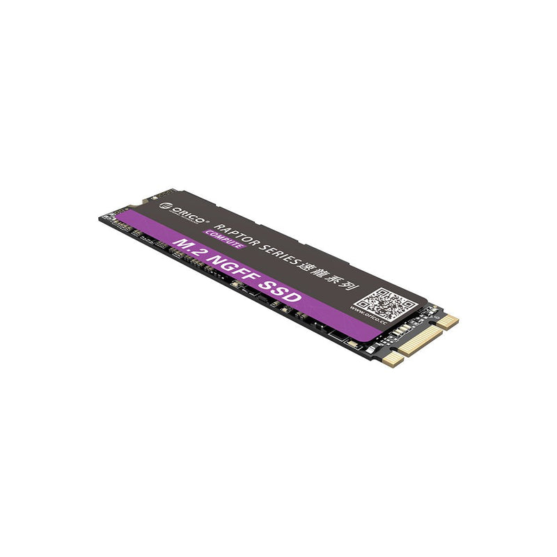 Orico N310 Raptor Series 240GB M.2 NGFF 2280 Internal Solid State Drive - SWIFT PERIPHERALSORICO-N310-240GB-EP