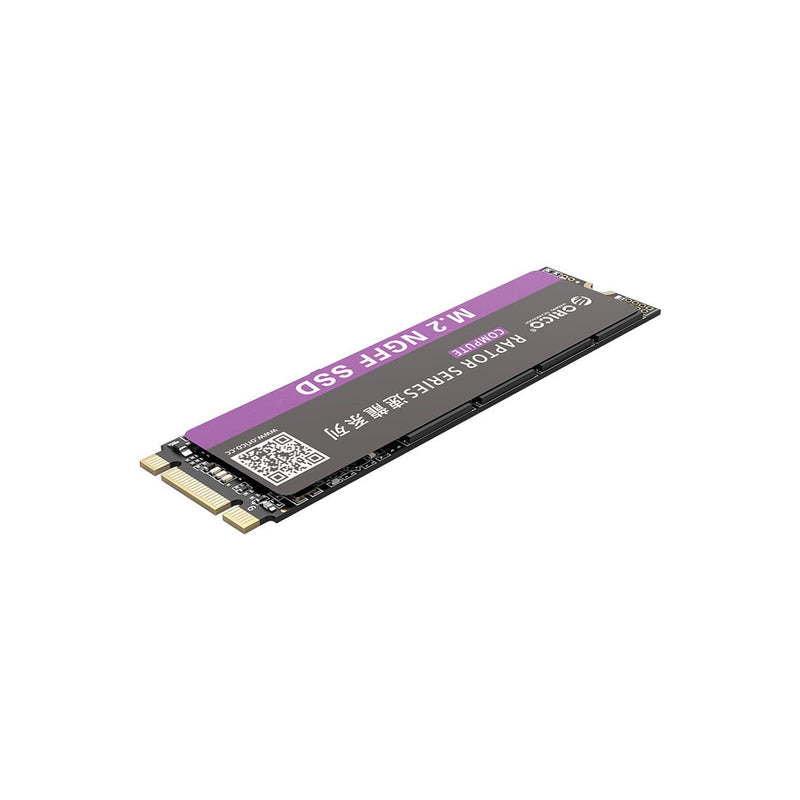 Orico N310 Raptor Series 240GB M.2 NGFF 2280 Internal Solid State Drive - SWIFT PERIPHERALSORICO-N310-240GB-EP