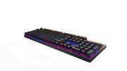 RAPOO V500PRO - 87 TKL MECHANICAL GAMING KEYBOARD - SWIFT PERIPHERALS1087433