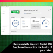 WESTERN DIGITAL GREEN SN350 NVME 250GB - WDS250G2G0C - SWIFT PERIPHERALS1086198